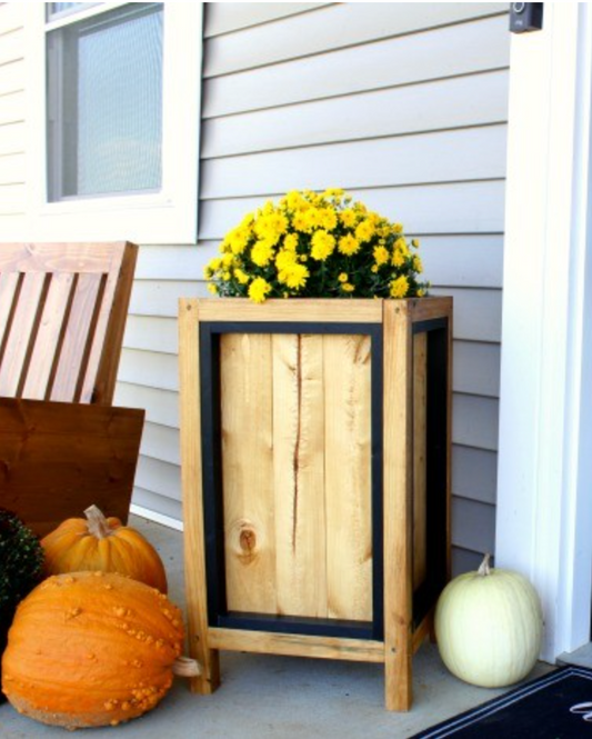 Wooden planter box filled with yellow flowers displayed outside a home beside pumpkins.